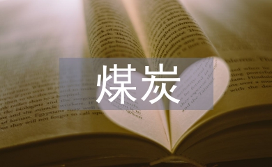 煤炭公司工作總結(jié)